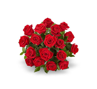 lat-redroses