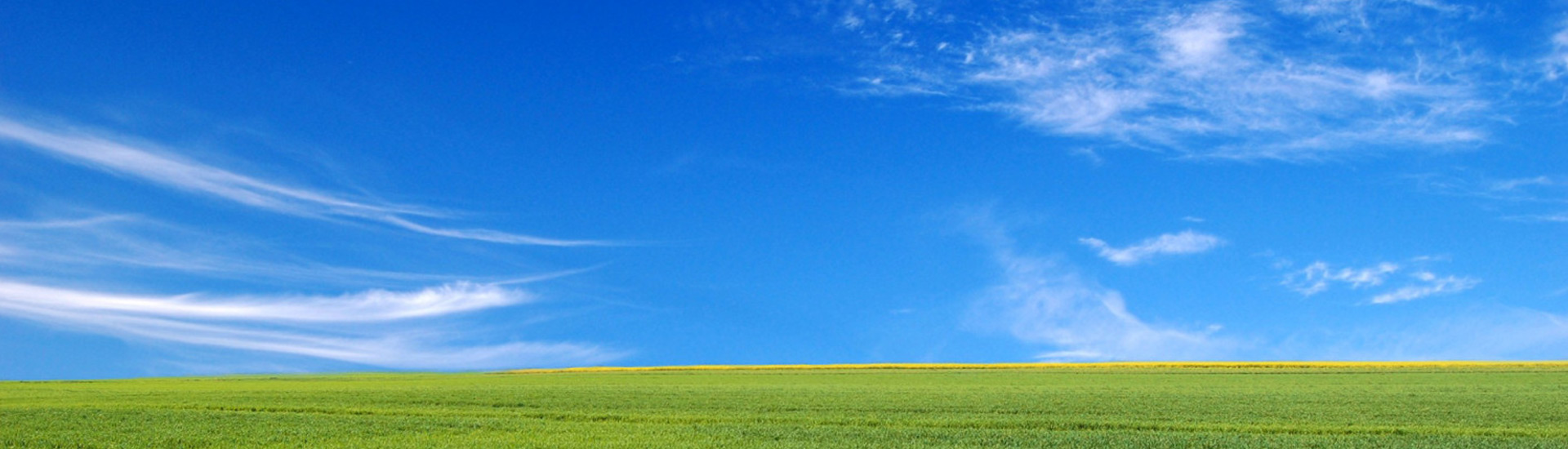 Pradera con cielo azul