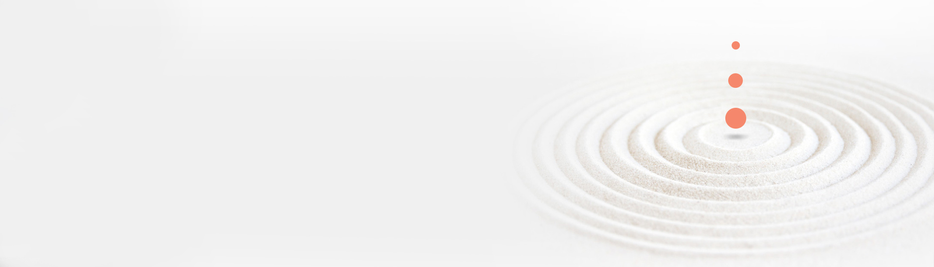 Wellroom - Website por Grupo Interactivo