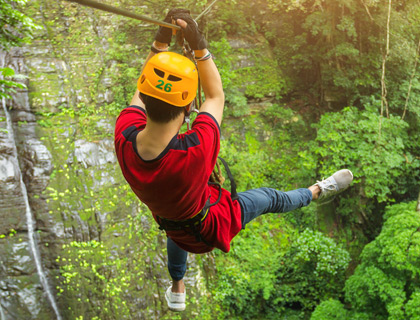 Explore Viva
